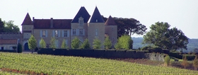 Chateau d'Yquem, Вино Шато Икем