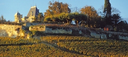 Chateau Ausone, вино Шато Озон, Премьер гран крю А, Сент Эмильон